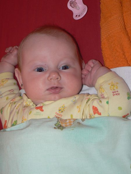 gal/2011/12 Spindl/P1090120.JPG